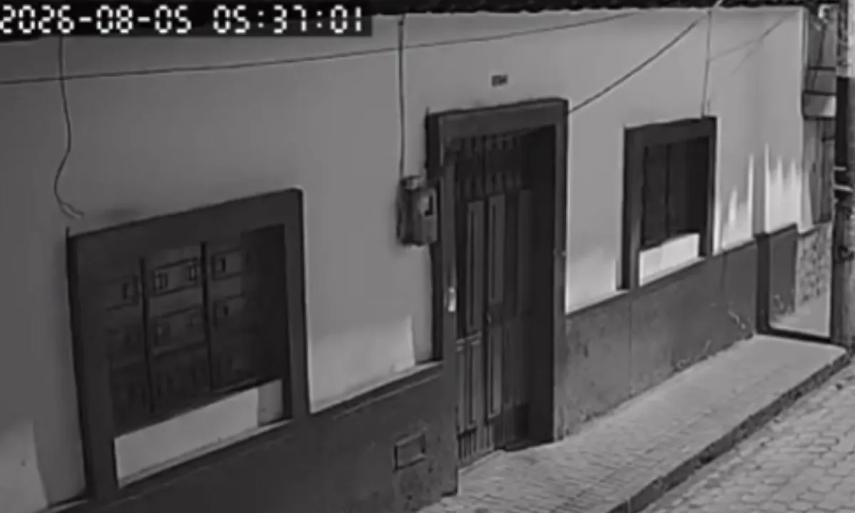 Video muestra cómo se sintió en Imbabura el sismo registrado en Carchi