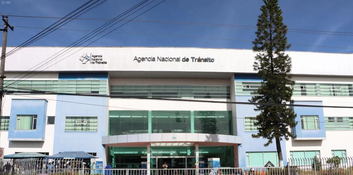 ANT atenderá siete sábados para trámites de licencias de conducir en Ecuador, ¿quiénes pueden acudir?
