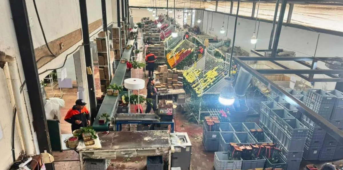 FMI mejora las proyecciones de crecimiento para Ecuador en 2026, ¿cómo le irá a la economía mundial?