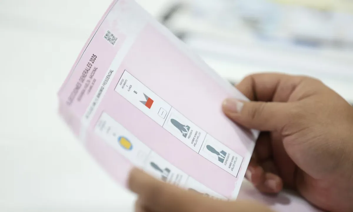Así serán las ocho papeletas electorales que recibirán los votantes el 29 de noviembre