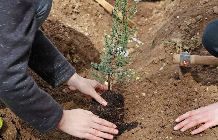 Ley de educación ambiental entra en vigencia tras su publicación en el Registro Oficial