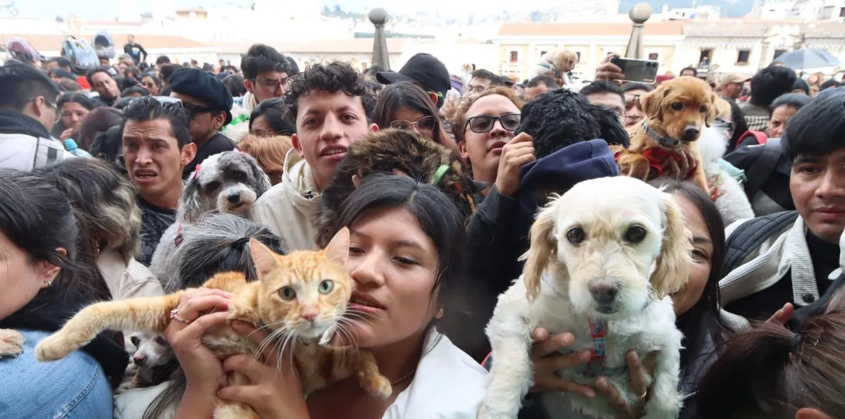 ¿Quiere bendecir a su mascota? Conozca las iglesias que realizarán esta tradición el 4 de octubre en Ecuador
