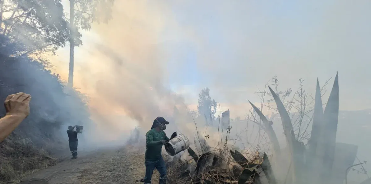 Dos incendios forestales ponen en alerta a Quito; Bomberos pide denunciar quemas ilegales