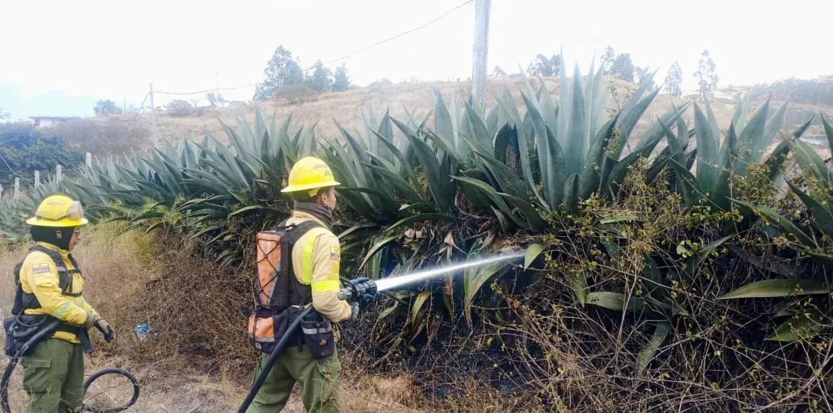 Las sanciones por quemas y uso indebido del fuego aumentan 7,3% en Quito