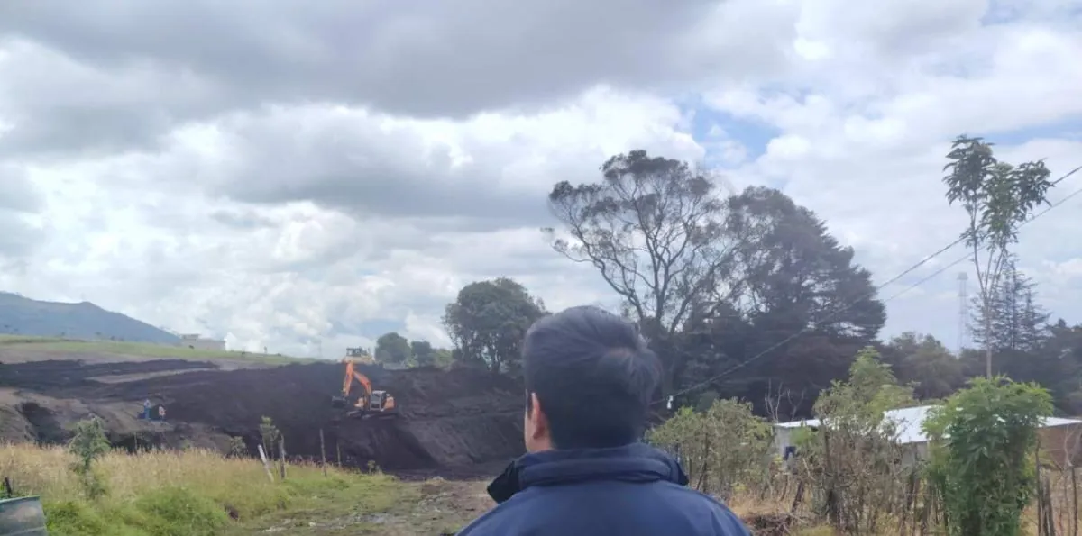 AMC multa con más de USD 1 millón a responsable de talar árboles nativos en el sur de Quito