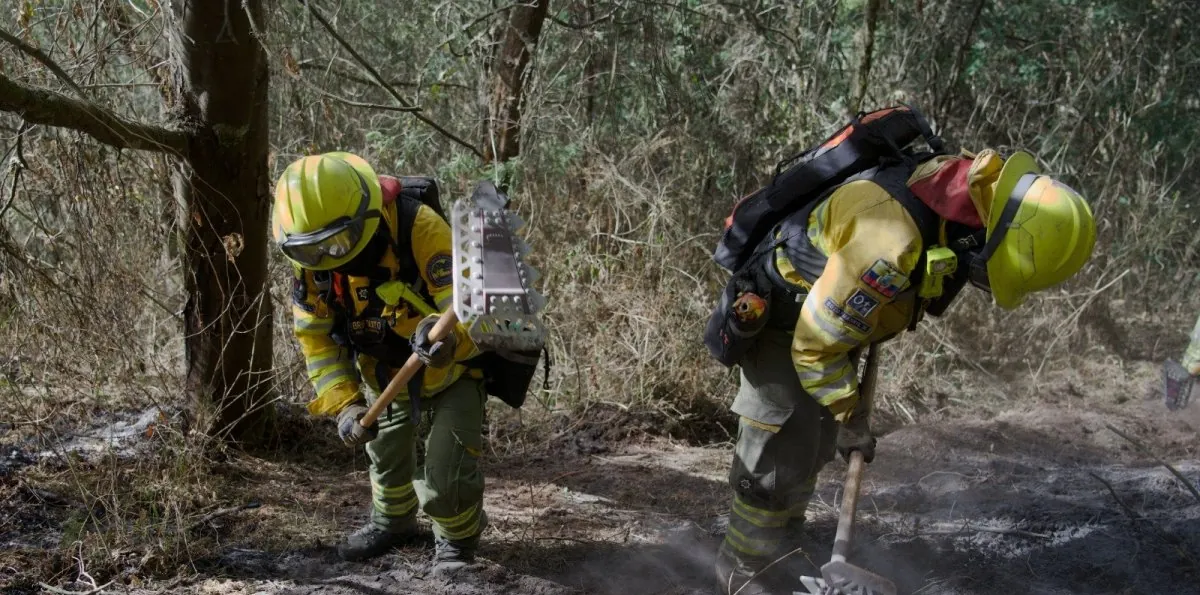 Incendio en el Casitagua afectó el hábitat de venados, conejos, aves y otras especies