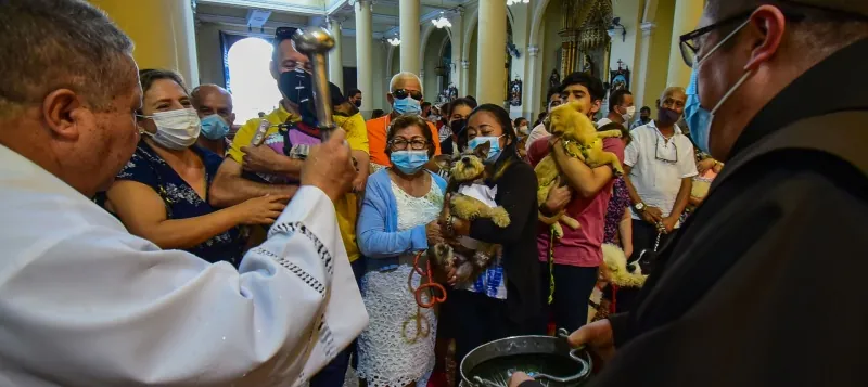 Bendición de mascotas en Guayaquil: ¿dónde y cuándo será?