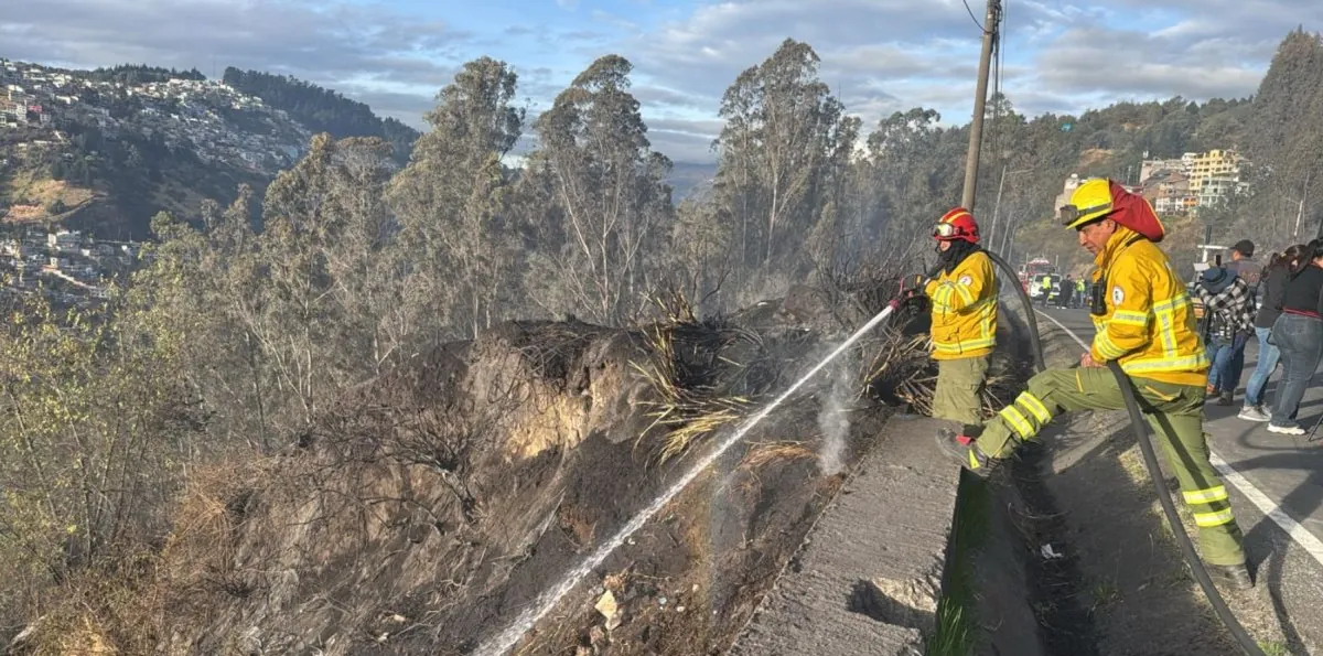Incendios forestales en Pichincha: activan vigilancia sanitaria en Quito