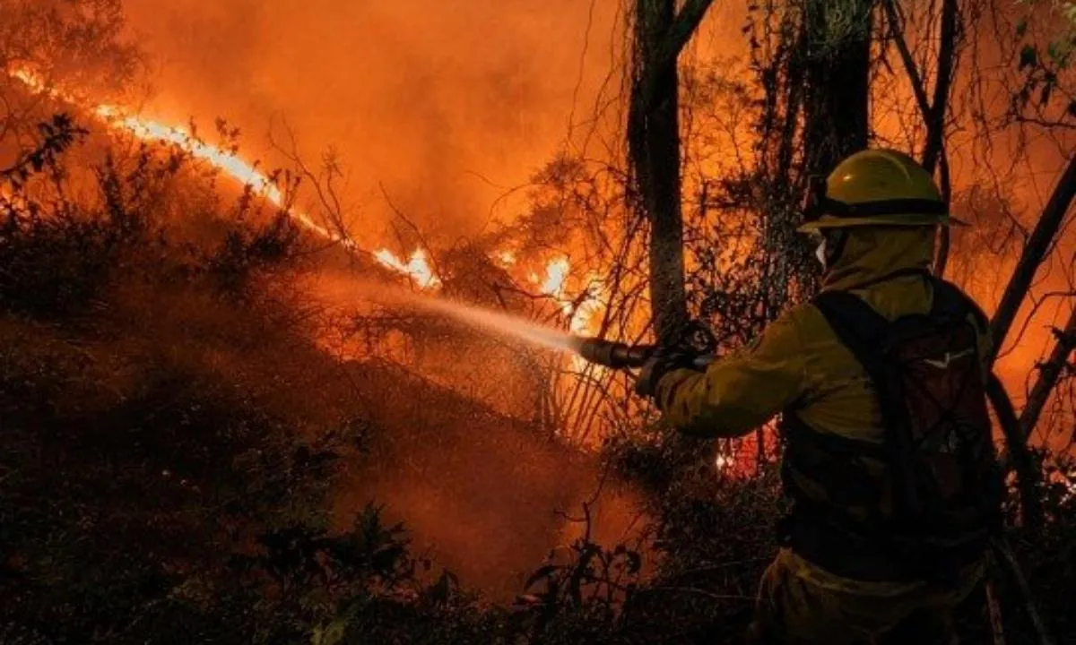 Bomberos Quito controló incendio forestal en El Quinche