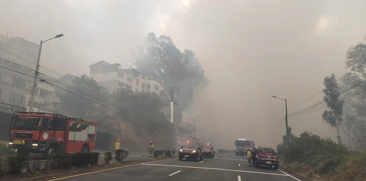 Incendio en La Vicentina obliga a cerrar vías y moradores ayudan a combatir el fuego