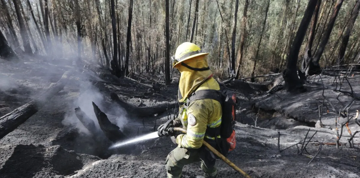 No solo es en Quito, las otras provincias con incendios forestales activos en septiembre