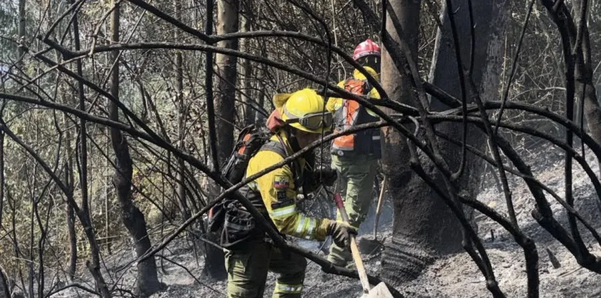 Incendios forestales no cesan en Quito: bomberos atienden al menos tres emergencias