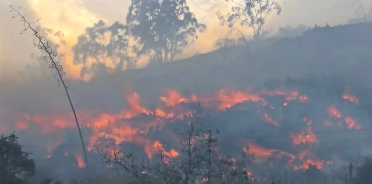 Ecuador enfrenta 11 incendios forestales activos y más de 21.800 hectáreas quemadas