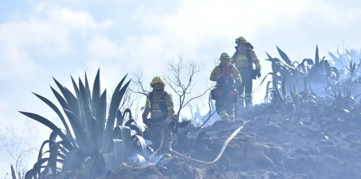 Crisis de incendios forestales en Ecuador: balance de hectáreas consumidas en 2026