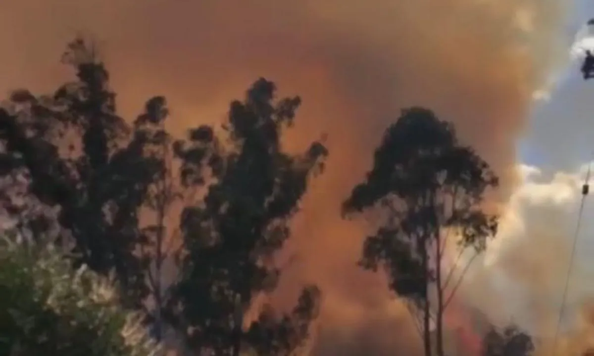 Barrios de Quito permanecen en monitoreo por humo de incendio forestal