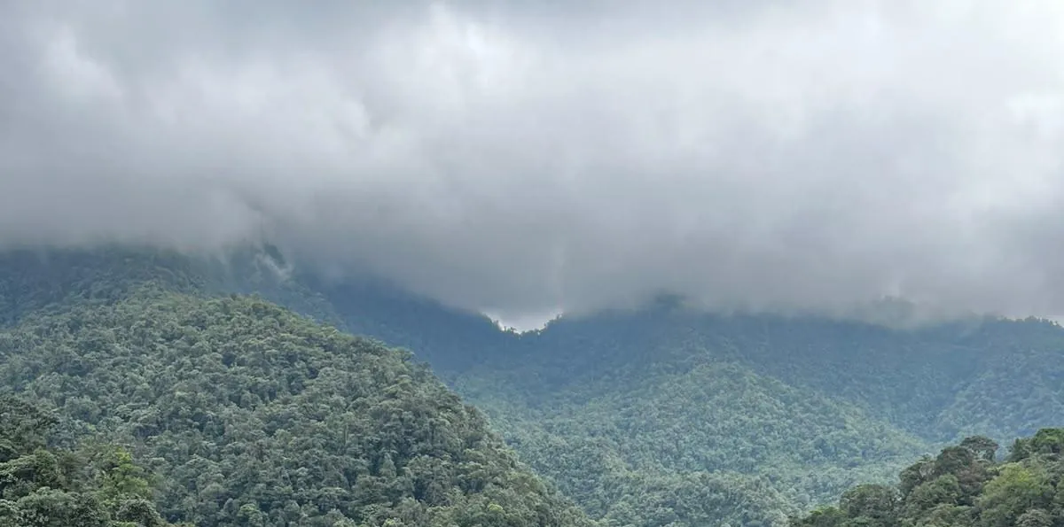 Jóvenes ecuatorianos presentarán sus proyectos en Manabí y el Chocó Andino ante el Foro Mundial de la Alimentación