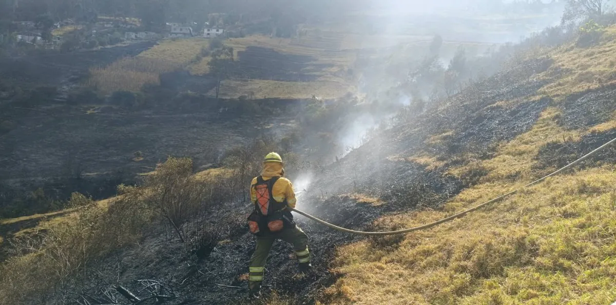 Hombre admite que provocó incendio forestal en Quito y recibe seis meses de prisión