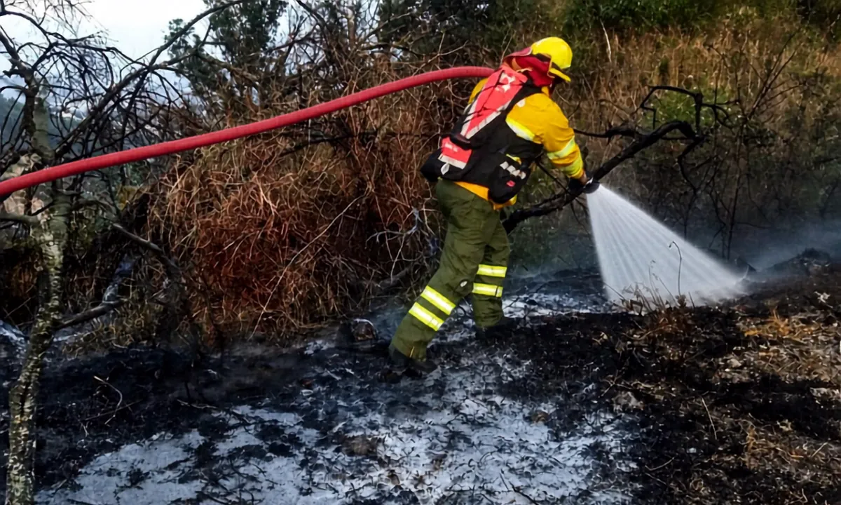 Quema de desechos origina otro incendio forestal en Quito junto a la Simón Bolívar