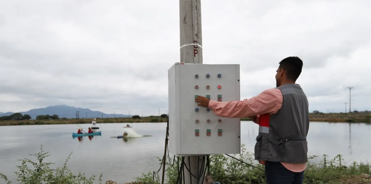 Hasta siete días sin luz: la alerta que sacude a la cadena camaronera