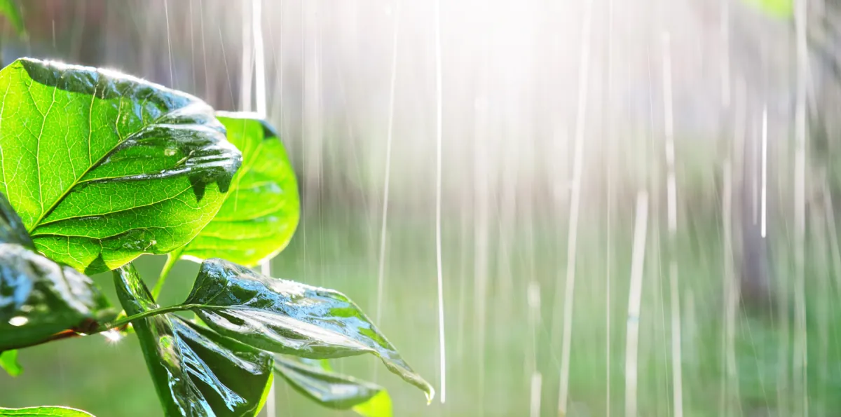 El Niño en Ecuador aumentará las lluvias en la Costa, según el Inamhi