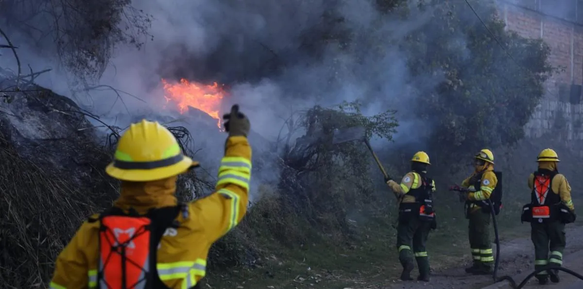 ¿Qué dice la Fiscalía sobre la sentencia de seis meses contra un hombre que provocó un incendio forestal en Quito?