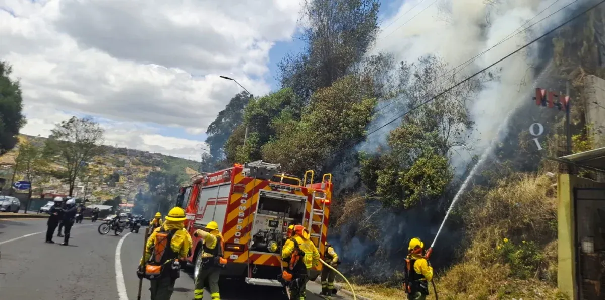 Prisión preventiva para presunto causante de un incendio forestal en Monjas, Quito