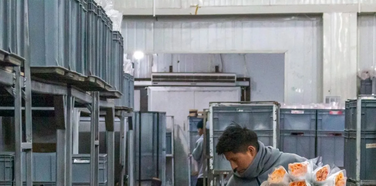 Suspensión de la jornada laboral en Ecuador: ¿qué implica la medida dispuesta para el 20 de noviembre?