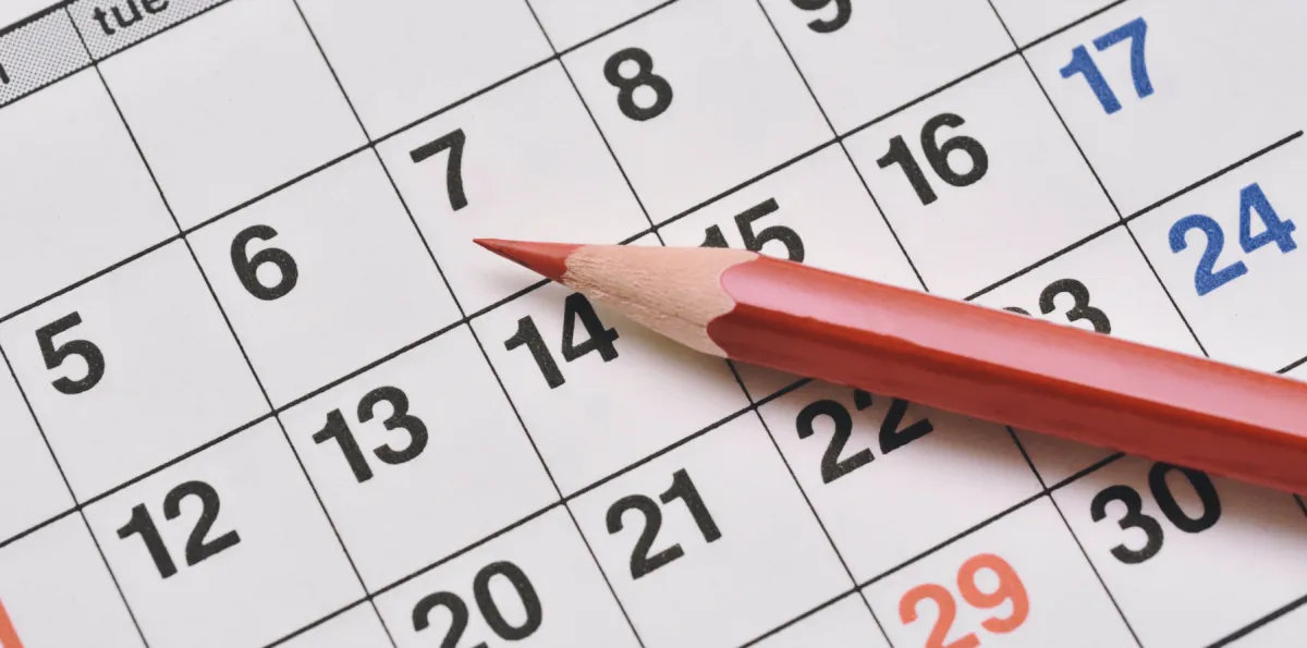 Feriado del 2 y 3 de noviembre en Ecuador: ¿se trasladan las fechas?
