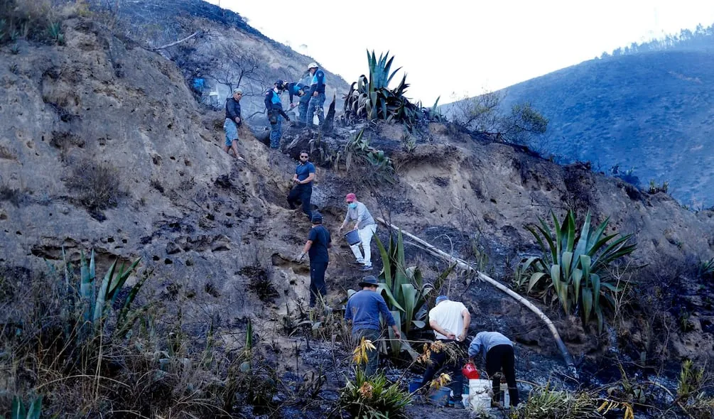 Ecuador registra 11 incendios forestales activos: solo Pichincha concentra 5