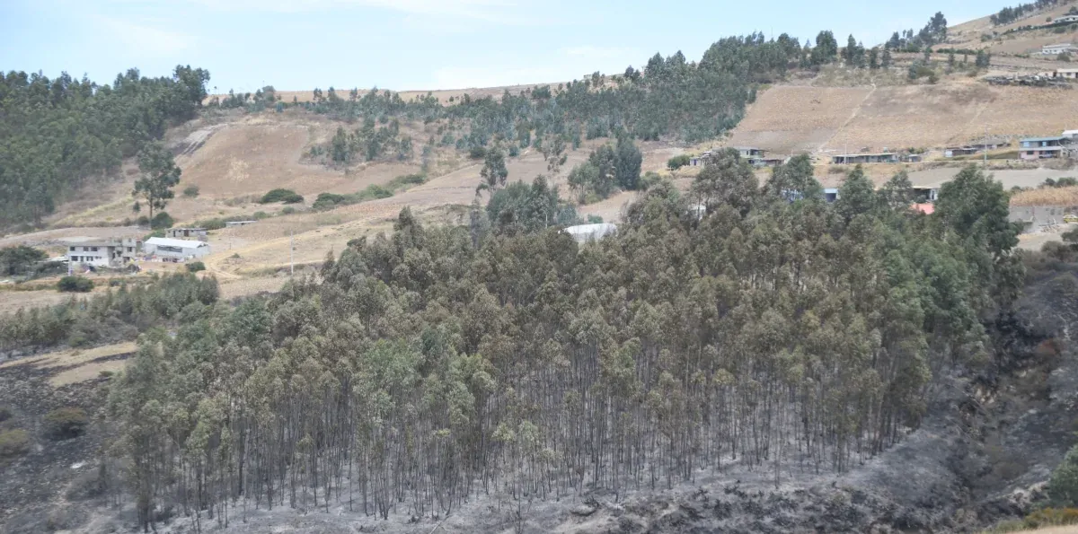 Incendio en el cerro Casitagua llega a su tercer día y mantiene una línea de fuego activa