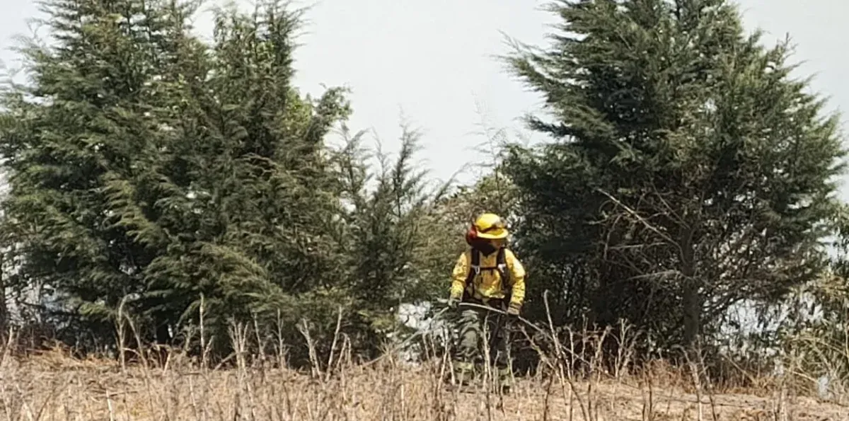 En Quito, identifican a un hombre que habría intentado quemar cables en una zona boscosa