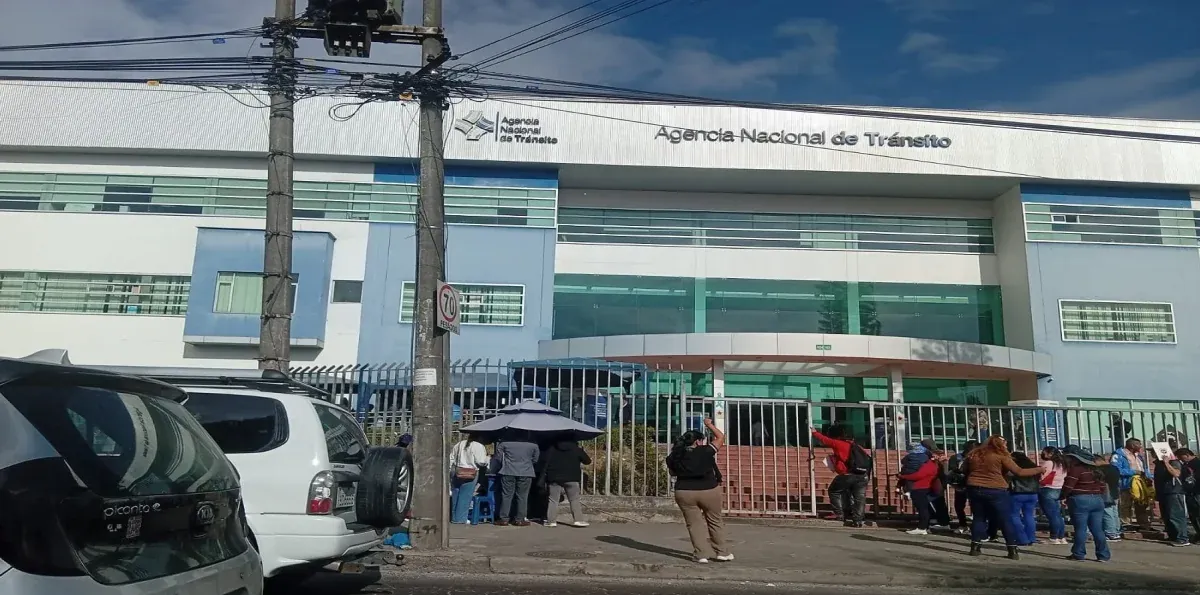 Licencias de conducir en la ANT: ¿por qué colapsó la emisión de turnos en Quito?