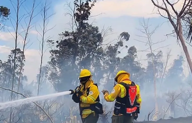 Incendios forestales aumentan 46 % en Quito: 57 emergencias se han atendido este año