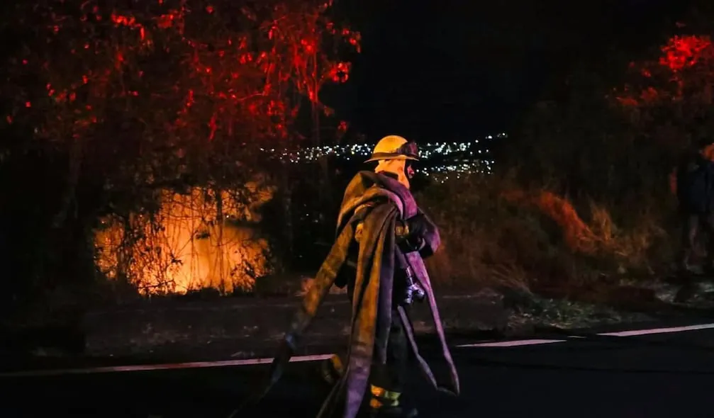Incendio en La Vicentina deja seis hectáreas afectadas y un detenido: en 15 minutos el incendio se propagó