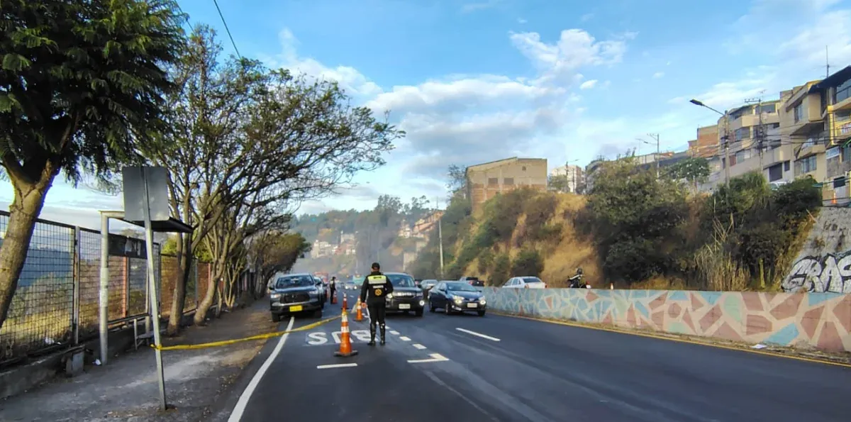 Avenida Oriental tendrá cierre total por retiro de árboles en riesgo tras incendio forestal